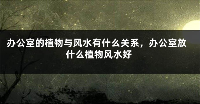 办公室的植物与风水有什么关系，办公室放什么植物风水好