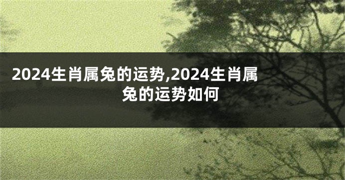 2024生肖属兔的运势,2024生肖属兔的运势如何