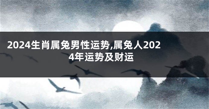 2024生肖属兔男性运势,属兔人2024年运势及财运