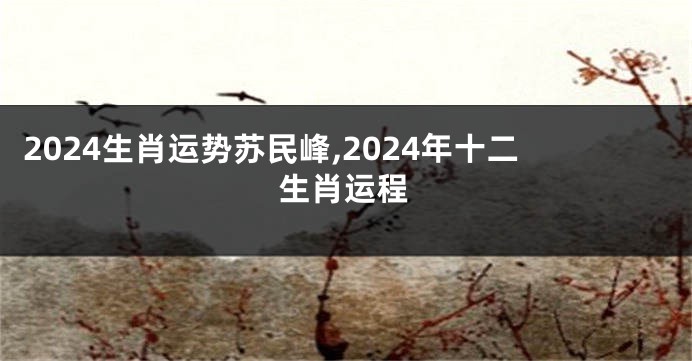 2024生肖运势苏民峰,2024年十二生肖运程