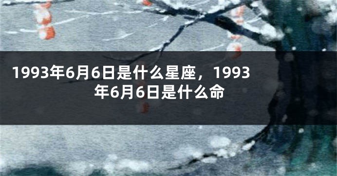 1993年6月6日是什么星座，1993年6月6日是什么命