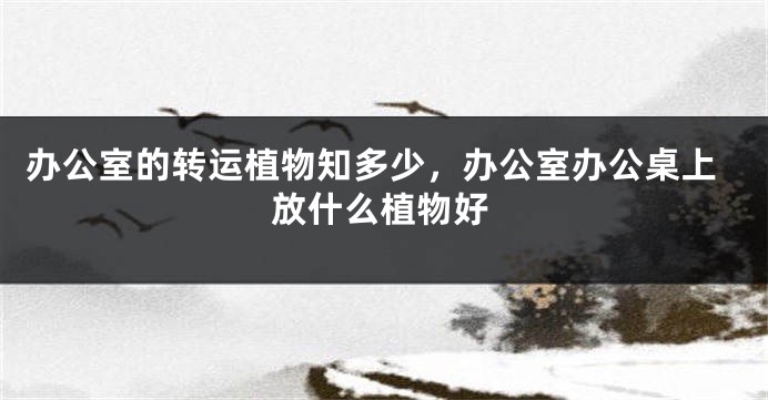 办公室的转运植物知多少，办公室办公桌上放什么植物好