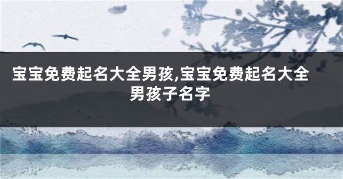 宝宝免费起名大全男孩,宝宝免费起名大全男孩子名字