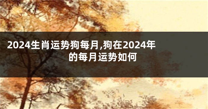 2024生肖运势狗每月,狗在2024年的每月运势如何