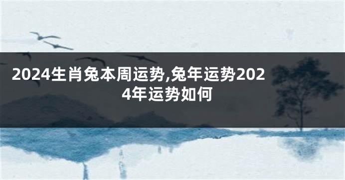 2024生肖兔本周运势,兔年运势2024年运势如何