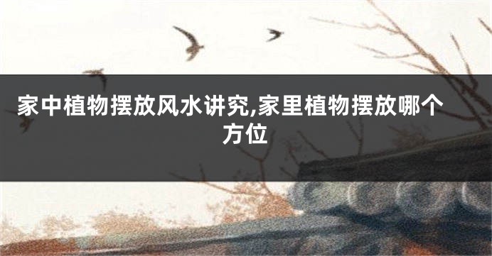 家中植物摆放风水讲究,家里植物摆放哪个方位