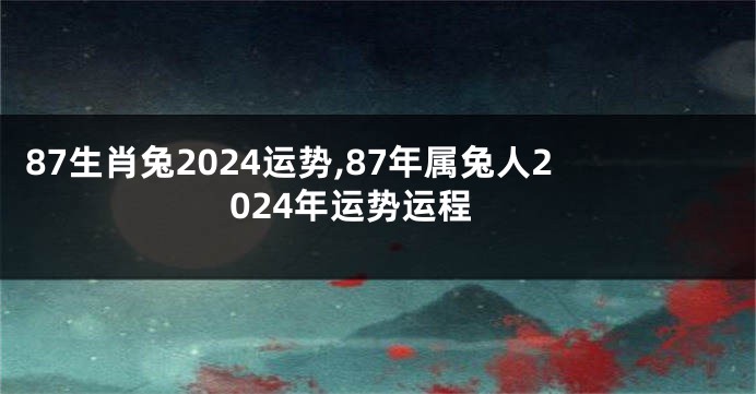 87生肖兔2024运势,87年属兔人2024年运势运程