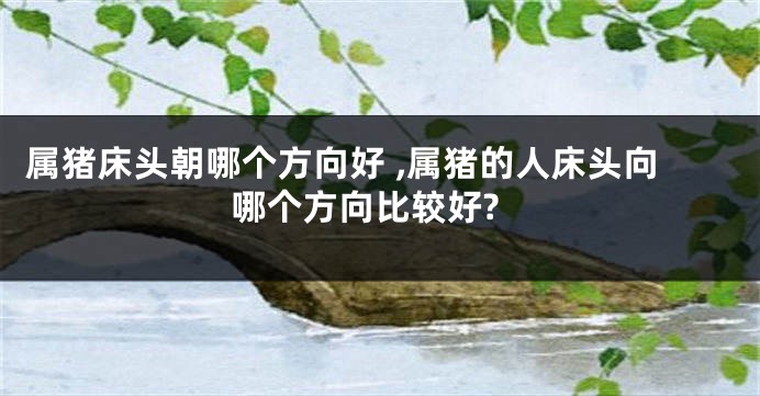 属猪床头朝哪个方向好 ,属猪的人床头向哪个方向比较好?