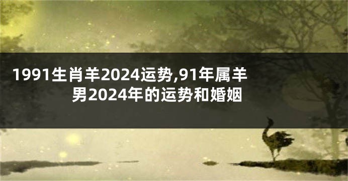 1991生肖羊2024运势,91年属羊男2024年的运势和婚姻