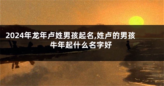 2024年龙年卢姓男孩起名,姓卢的男孩牛年起什么名字好