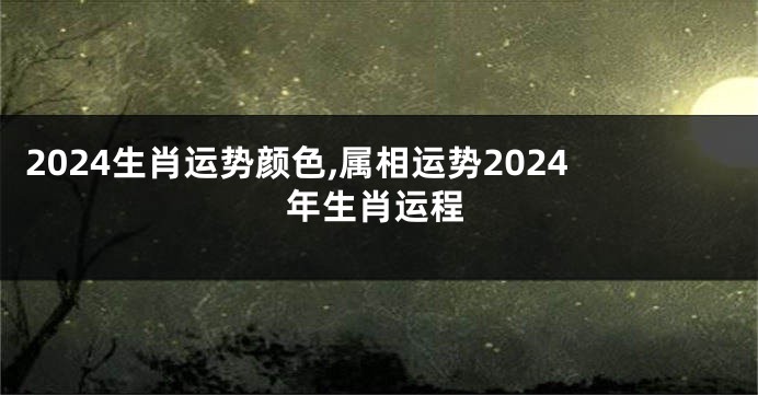2024生肖运势颜色,属相运势2024年生肖运程