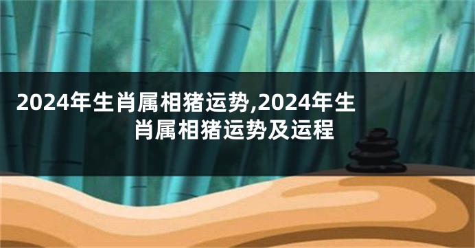 2024年生肖属相猪运势,2024年生肖属相猪运势及运程