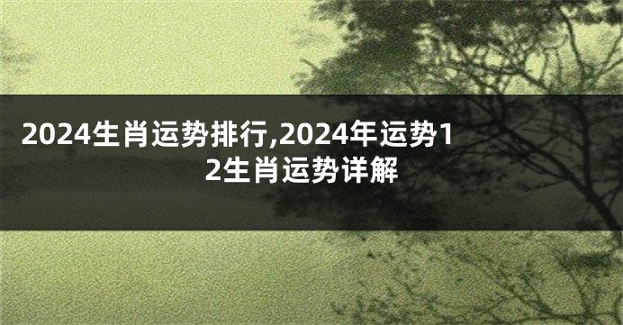 2024生肖运势排行,2024年运势12生肖运势详解