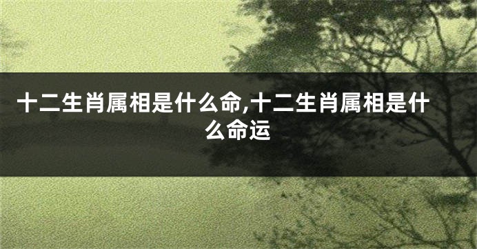十二生肖属相是什么命,十二生肖属相是什么命运