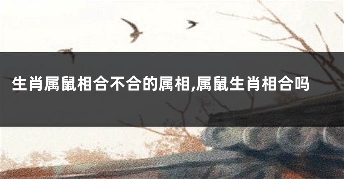 生肖属鼠相合不合的属相,属鼠生肖相合吗