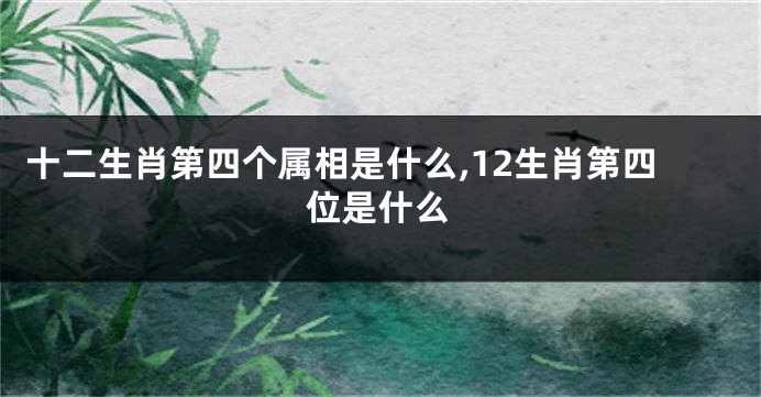 十二生肖第四个属相是什么,12生肖第四位是什么