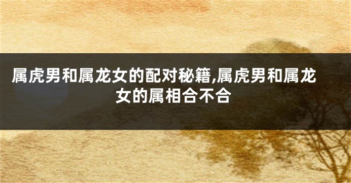属虎男和属龙女的配对秘籍,属虎男和属龙女的属相合不合