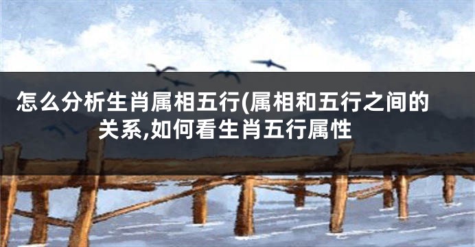 怎么分析生肖属相五行(属相和五行之间的关系,如何看生肖五行属性