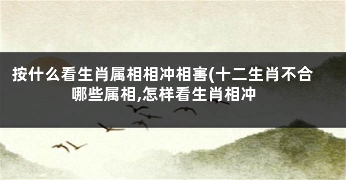 按什么看生肖属相相冲相害(十二生肖不合哪些属相,怎样看生肖相冲