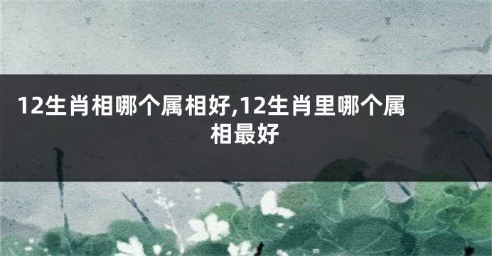12生肖相哪个属相好,12生肖里哪个属相最好