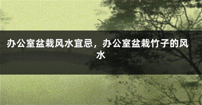 办公室盆栽风水宜忌,办公室盆栽竹子的风水