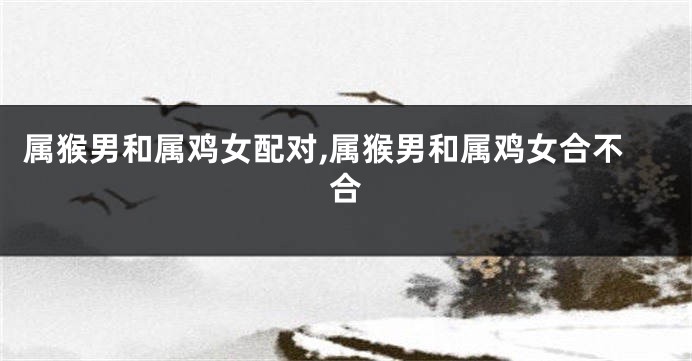属猴男和属鸡女配对,属猴男和属鸡女合不合
