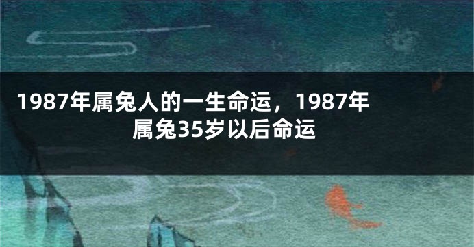 1987年属兔人的一生命运，1987年属兔35岁以后命运