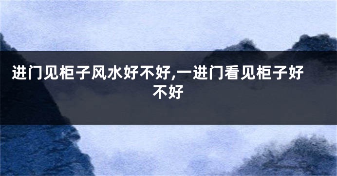 进门见柜子风水好不好,一进门看见柜子好不好