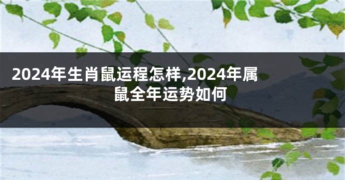 2024年生肖鼠运程怎样,2024年属鼠全年运势如何