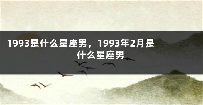 1993是什么星座男，1993年2月是什么星座男