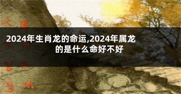 2024年生肖龙的命运,2024年属龙的是什么命好不好