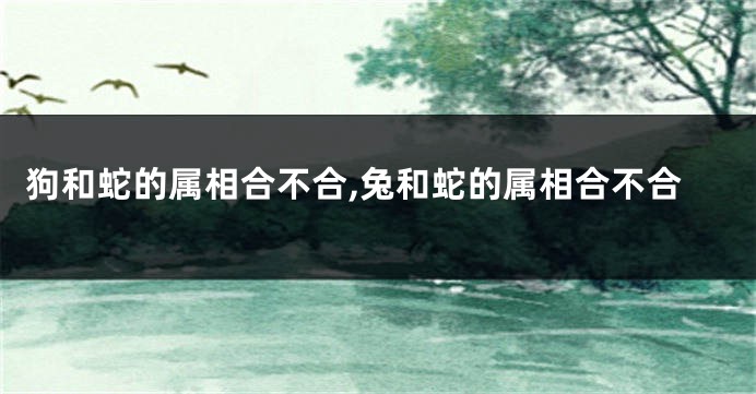 狗和蛇的属相合不合,兔和蛇的属相合不合