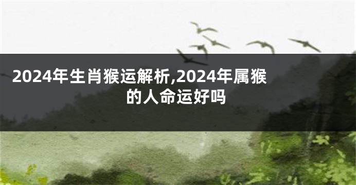 2024年生肖猴运解析,2024年属猴的人命运好吗
