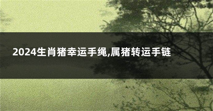 2024生肖猪幸运手绳,属猪转运手链