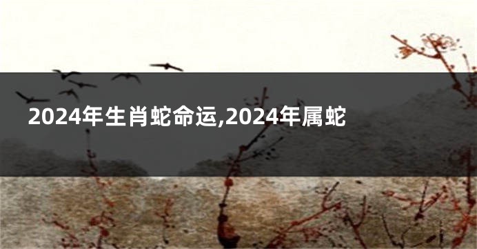 2024年生肖蛇命运,2024年属蛇