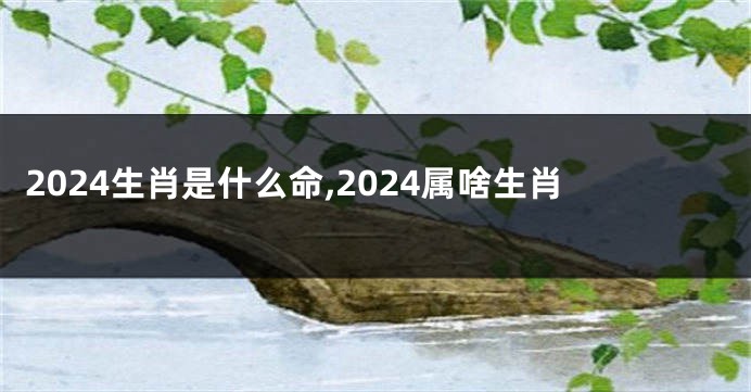 2024生肖是什么命,2024属啥生肖