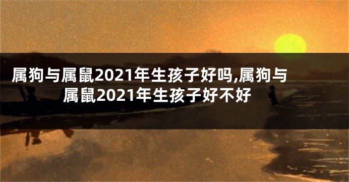 属狗与属鼠2021年生孩子好吗,属狗与属鼠2021年生孩子好不好