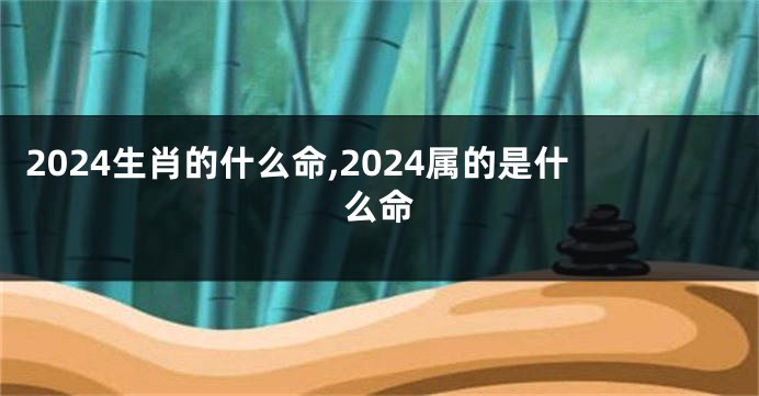 2024生肖的什么命,2024属的是什么命
