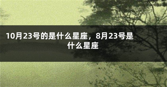 10月23号的是什么星座，8月23号是什么星座