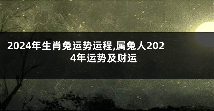 2024年生肖兔运势运程,属兔人2024年运势及财运