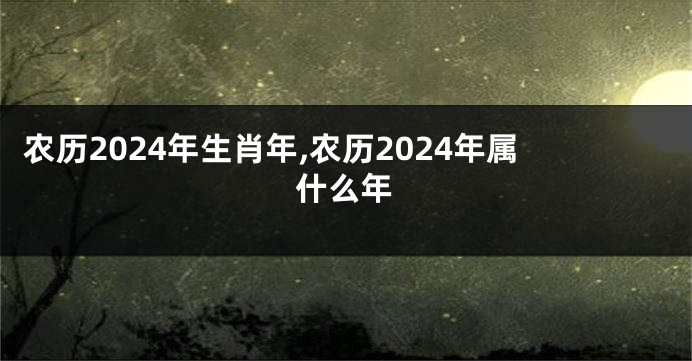 农历2024年生肖年,农历2024年属什么年
