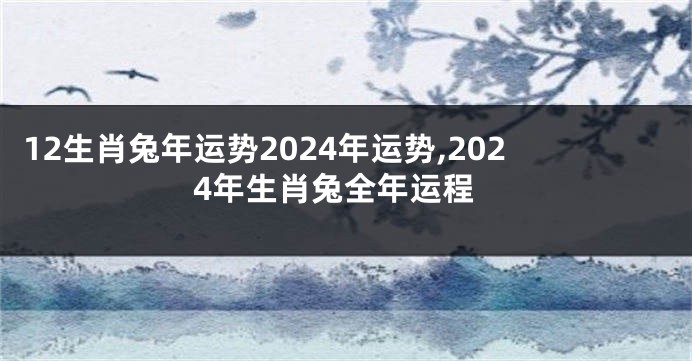 12生肖兔年运势2024年运势,2024年生肖兔全年运程