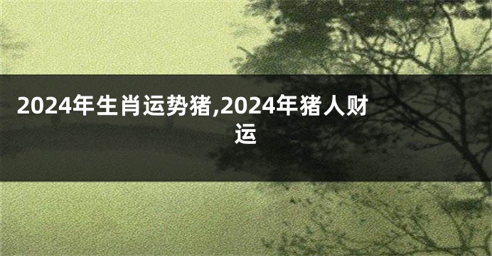 2024年生肖运势猪,2024年猪人财运