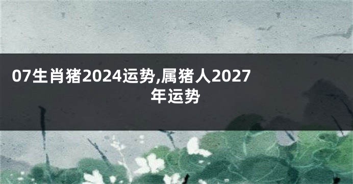 07生肖猪2024运势,属猪人2027年运势