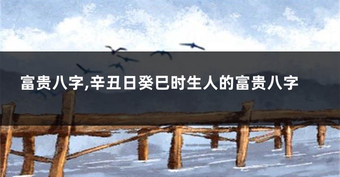 富贵八字,辛丑日癸巳时生人的富贵八字