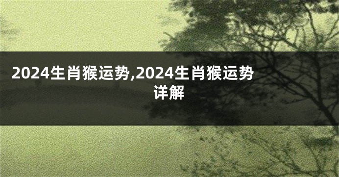 2024生肖猴运势,2024生肖猴运势详解