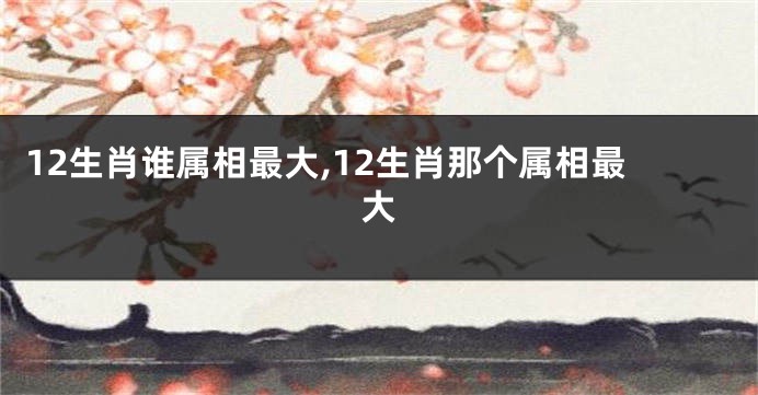 12生肖谁属相最大,12生肖那个属相最大