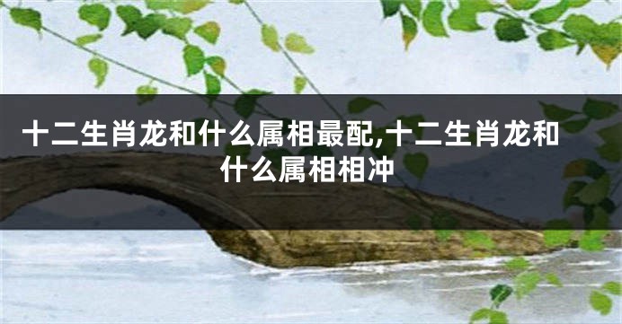 十二生肖龙和什么属相最配,十二生肖龙和什么属相相冲