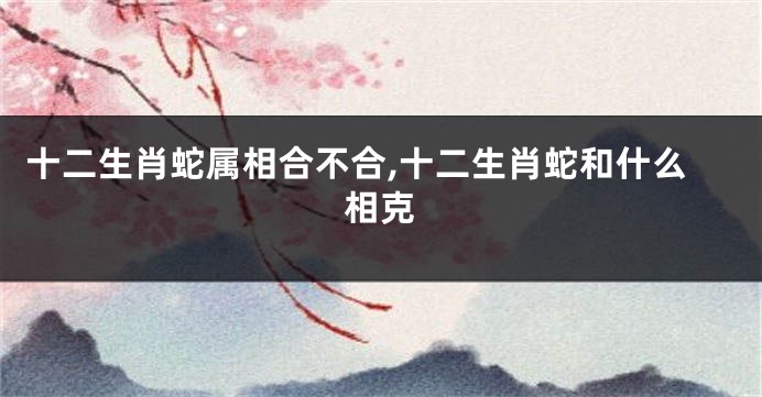 十二生肖蛇属相合不合,十二生肖蛇和什么相克