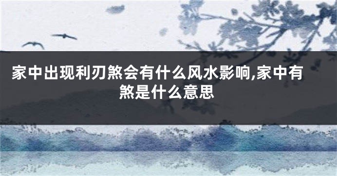 家中出现利刃煞会有什么风水影响,家中有煞是什么意思